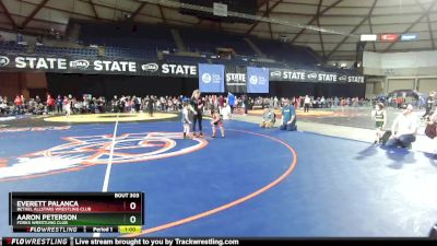 45-47 lbs Semifinal - Aaron Peterson, Forks Wrestling Club vs Everett Palanca, Bethel AllStars Wrestling Club