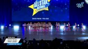 Dance Mania - Tiny Jazz [2025 Tiny - Jazz Day 2] 2025 UCA & UDA All Star National Championship