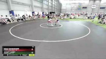 94 lbs Semis & 3rd Wb (16 Team) - Kole Davidheiser, Pennsylvania Blue vs Wyatt Ulrey, Indiana Gold