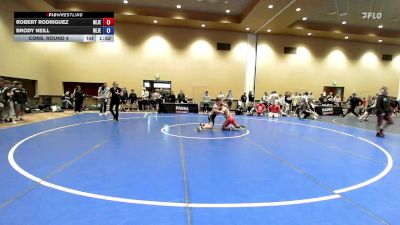 126 lbs Cons. Round 4 - Robert Rodriguez, New Jersey vs Brody Neill, New Jersey