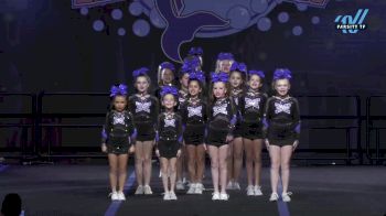 East Celebrity Elite - Hingham - DIVAS [2024 L1 Youth 02/11/2024] 2024 ASC Return to Atlantis Worcester Showdown