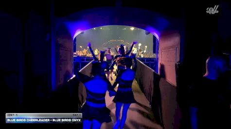 Blue Birds Cheerleader - Blue Birds ONYX [2026 IONT-3 Day 1] 2026 ELITE Cheerleading Championship