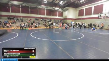 75 lbs Champ. Round 1 - Ellani Rodriguez, Fremont Wrestling Club vs Braxton Hansen, Delta