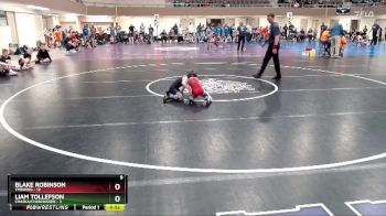 60 lbs Semis (4 Team) - Liam Tollefson, Chaska/Chanhassen vs Blake Robinson, TMBWWG