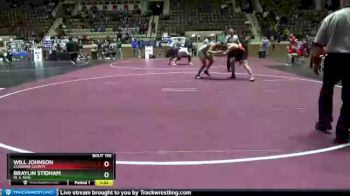 195 lbs Quarterfinal - Will Johnson, Cleburne County vs Braylin Stidham, W. S. Neal