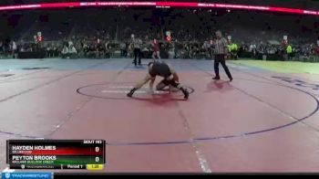 D3-160 lbs Quarterfinal - Peyton Brooks, Midland Bullock Creek vs Hayden Holmes, Millington