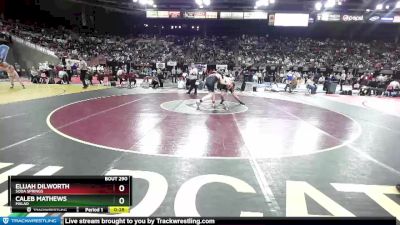 2A 195 lbs Cons. Round 2 - Elijah Dilworth, Soda Springs vs Caleb Mathews, Malad