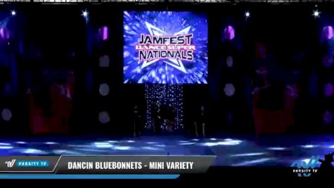 Dancin Bluebonnets - Mini Variety [2021 Mini - Variety Day 2] 2021 JAMfest: Dance Super Nationals