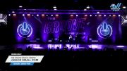 The Vision Dance Center - Junior Small Pom [2024 Junior - Pom Day 2] 2024 WSF Grand Nationals