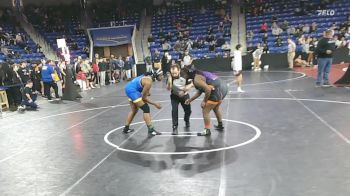 235 lbs Quarterfinal - Sophia Domitrovich, Keene vs Leanna Watson, Putnam