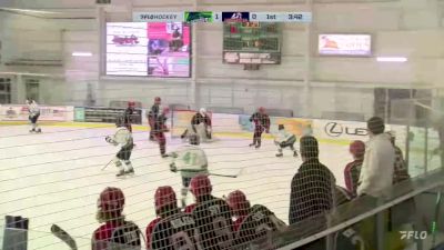 Replay: Home - 2024 FL Jr. Blades vs Patriots | Dec 21 @ 7 PM