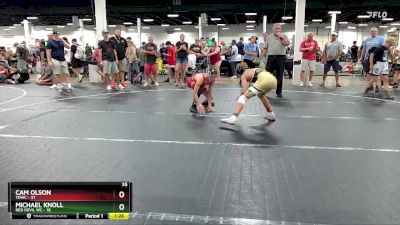 115 lbs Round 5 (6 Team) - Michael Knoll, Red Devil WC vs Cam Olson, TDWC