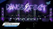 Champion Legacy - Junior Coed Hip Hop [2025 Junior - Hip Hop - Large Day 2] 2025 DanceFest Grand Nationals