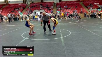 76 lbs Quarterfinal - Markus Emigh, Birch Run Youth Wrestling vs Parker Timko, Rising Kingz