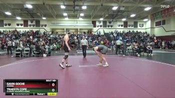 215 lbs Round 1 - Gavin Goche, Algona vs Traesyn Cope, Clarion-Goldfield-Dows