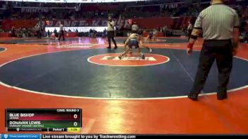 1A 132 lbs Cons. Round 3 - Blue Bishop, Herrin vs Donavan Lewis, Fairbury (Prairie Central)