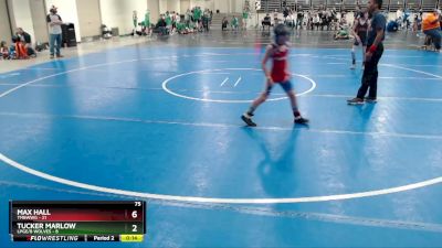 80 lbs Finals (8 Team) - Boe Johnson, TMBWWG vs Jase Browen, LPGE/B Wolves