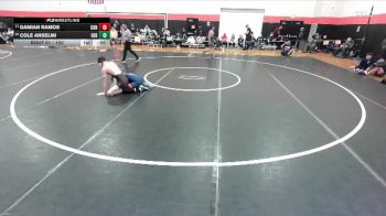 120 lbs Champ. Round 1 - Damian Ramos, Hoffman Estates (CONANT) vs Cole Anselmi, Arlington Heights (HERSEY)