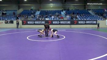 73 lbs Final - Aubrey Troutner, Colorado All Stars vs Gigi Bragg, Pinnacle