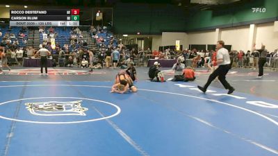 126 lbs Round Of 128 - Rocco DeStefano, NY vs Carson Blum, MI