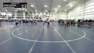 64 lbs Quarterfinal - Dennis Daxberger, Falcons/Taunton vs Jaelene Murillo, Dirty Den WC