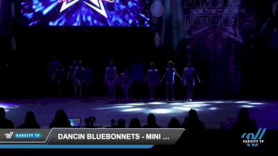 Dancin Bluebonnets - Mini Coed Lyrical [2022 Mini - Dance Day 3] 2022 JAMfest Dance Super Nationals