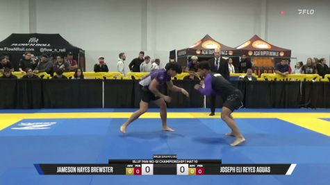 Joseph Eli Reyes Aguas vs Jameson Hayes Brewster 2026 Pan IBJJF Jiu-Jitsu No-Gi Championship