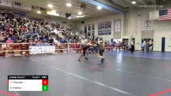 131 lbs Champ. Round 1 - Tegan Nguyen, Palm Desert vs Danielle Padilla, Ventura