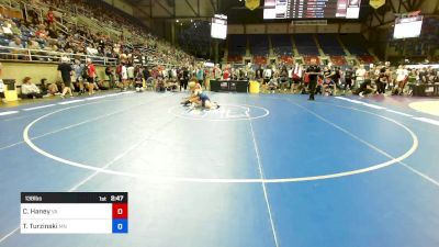 138 lbs Rnd Of 128 - Caleb Haney, VA vs Tyler Turzinski, MN