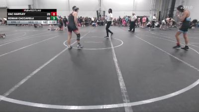 132 lbs Round 5 (6 Team) - Roman Caccavelli, New England Gold vs Zac Hartley, EP Rattlers