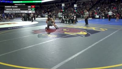 165 lbs Consi Of 16 #2 - Damien Valdez, Lemoore HS (CS) vs Brodie Johnson, Pitman (SJ)