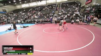 193 lbs Champ. Round 2 - Hayz Lowe, Mountain Ridge vs Ryan Cannon, Lehi