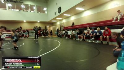 98 lbs Round 2 - Tucker Johnson, Punisher Wrestling Company vs Trenton O`Neal, Cashmere Wrestling Club