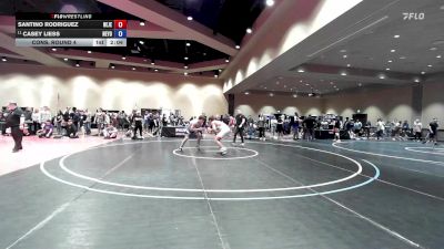 175 lbs Cons. Round 4 - Santino Rodriguez, New Jersey vs Casey Liess, New York