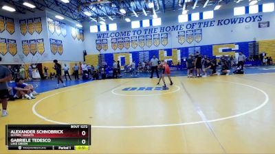 106 lbs Cons. Round 2 - Alexander Schnobrick, Olympic Heights vs Gabriele Tedesco, Lake Gibson