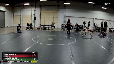 44-48 lbs Semifinal - Wes Arnold, Pride vs Parker Sauer, All I See Is Gold Academy