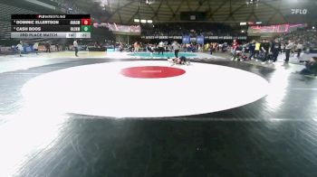 Boys 2A 126 lbs 3rd Place Match - Dominic Ellertson, Anacortes vs Cash Boos, Black Hills