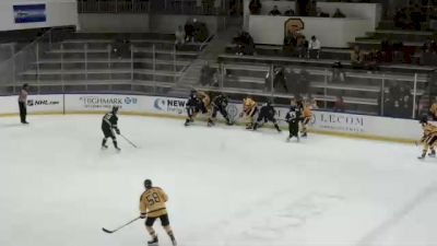 Replay: AHA QF 2, Game 2 - 2022 Mercyhurst vs Canisius | Mar 12 @ 8 PM