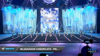 Bluegrass Cheercats - Prowlers [2019 Youth - D2 - Medium 1 Day 2] 2019 WSF All Star Cheer and Dance Championship