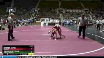 113 lbs Quarterfinal - Carter Hayes, Central vs Timothy Luttrell, Smiths Station Hs