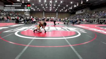 132 lbs Champ. Round 2 - Andrew Price, Sand Springs vs Trevor Christenson, Basehor-Linwood