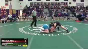 205 lbs Round 2 (6 Team) - Tristan Tipton, Butler vs Brooklyn Wade, Washington Courthouse