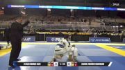 Gabriel Ribeiro Camarinho vs Feanix Dominic Jaks 2025 Pan Jiu Jitsu IBJJF Championship