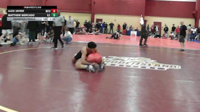 138 lbs Quarterfinal - Alex Javier, Metro West United vs Matthew Mercado, N.y.m.a
