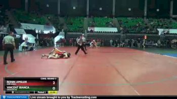 170 lbs Cons. Round 3 - Vincent Bianca, Grissom Hs vs RONIN AMSLER, Bob Jones