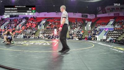 113 lbs Semifinals (8 Team) - Cadon Waatti, Detroit Catholic Central HS vs Gavin Culloty, Clarkston HS