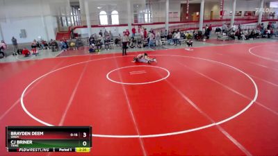 149 lbs 3rd Place Match - Brayden Deem, UIndy vs Cj Briner, Trine