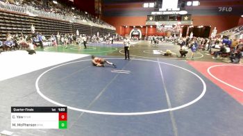 74 lbs Quarterfinal - Colton Yaw, Sturgis Youth WC vs Milo Jaxson McPherson, Athlos Wrestling