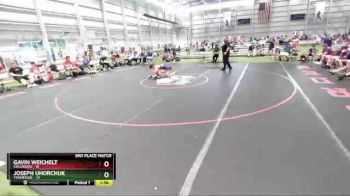 113 lbs Placement Matches (16 Team) - Gavin Weichelt, Colorado vs Joseph Uhorchuk, Tennessee