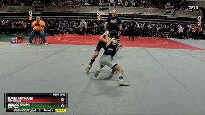 72 lbs Champ. Round 1 - Briggs Evans, Pipestone vs Davis Artmann, New Prague